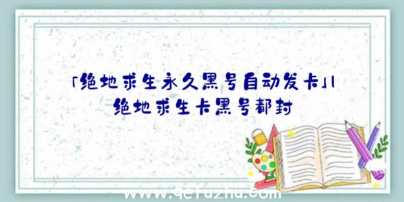 「绝地求生永久黑号自动发卡」|绝地求生卡黑号都封